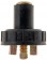 Universal Oil Drain Plug 5/8 In., Head Size N/A - Dorman# 65102
