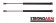 Pack of 2  Hatch Lift Support 4286