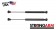 Pack of 2 USA-Made Trunk Lid Lift Support 4064,552205AA fITS 06-16 Dodge Charger