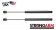 Pack of USA-Made Trunk Lid Lift Support 4073,1W6Z-76405A10AA Fits 02-05 T-Bird