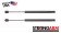 Pack of 2 New USA-Made Trunk Lid Lift Support 4119