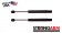 Pack of 2 New USA-Made Back Glass Lift Support 4192