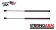 Pack of 2 New USA-Made Back Glass Lift Support 4193
