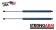 Pack of 2 New USA-Made Hatch Lift Support 4203