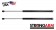 Pack of 2 New USA-Made Tailgate Lift Support 4212