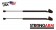 Pack of 2 New USA-Made Tailgate Lift Support 4222