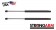 Pack of 2 New USA-Made Hatch Lift Support 4273