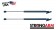 Pack of 2 USA-Made Hood Lift Support 4337,90379025 Fits 97-98 Cadillac Catera