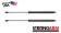 Pack of 2 New USA-Made Trunk Lid Lift Support 4454