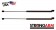 Pack of 2 New USA-Made Trunk Lid Lift Support 4919