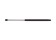 Pack of 2  Hatch Lift Support 4556