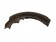 Rear Brake Shoes with Bendix Lining Absco RR482 RR-482